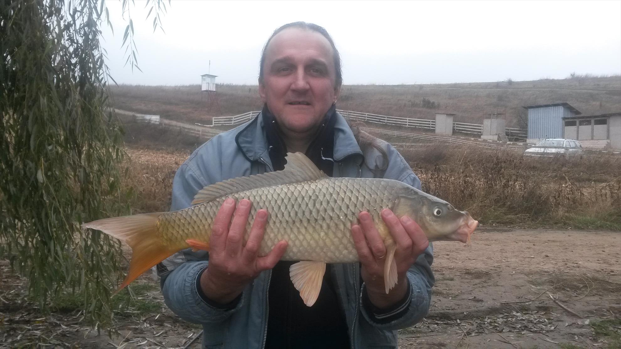 magura 9 - 20141109095046.jpg